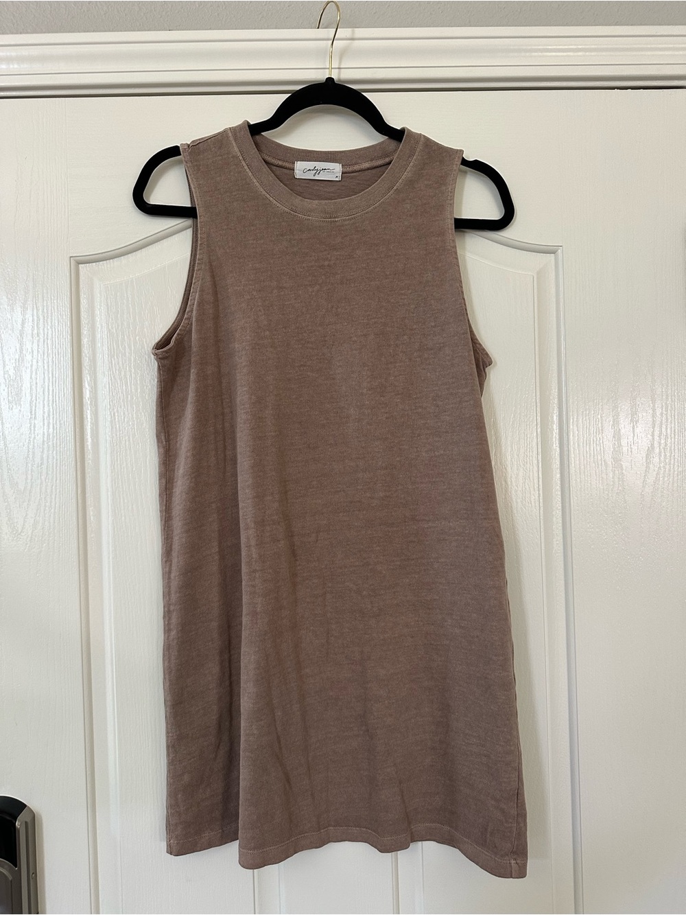 Carly Jean Los Angeles Sleeveless Mini Dress in Taupe